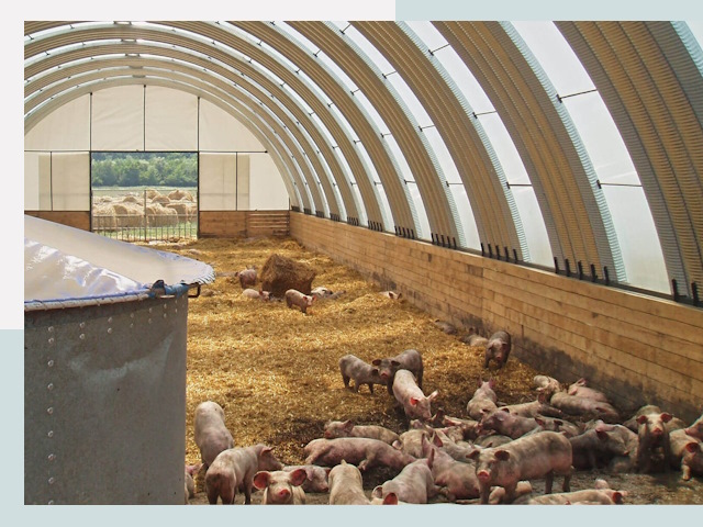 Строительство свинарников в находке